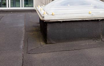 disadvantages of Duddlewick flat roofs