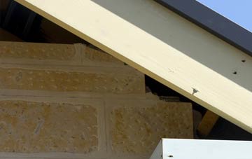 soffit repair Duddlewick