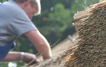 professional Duddlewick thatchers